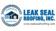 Leak Seal Roofing