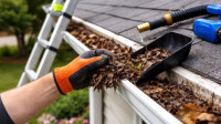 Gutter Services