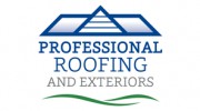 Professional Roofing