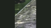 American Roof Preservers