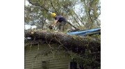Roof repairs
